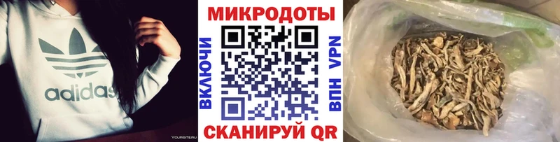 сколько стоит  Мурино  кракен как войти  Псилоцибиновые грибы прущие грибы 